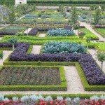 Декоративный огород: делаем красивые грядки — 60 фото Декоративный огород: делаем красивые грядки — 60 фото