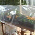 Как сделать парник: 8 конструкций и море идей Как сделать парник: 8 конструкций и море идей