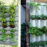 Декоративный огород: делаем красивые грядки — 60 фото Декоративный огород: делаем красивые грядки — 60 фото