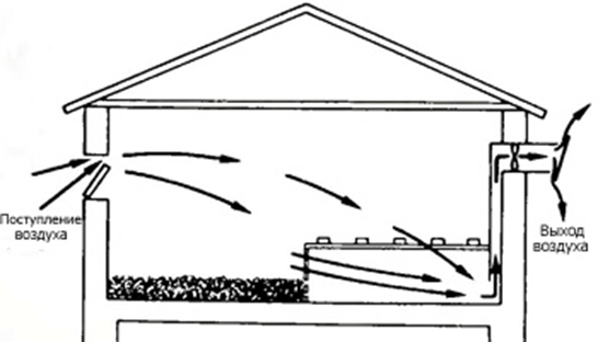 Вентиляция в курятнике – как сделать и зачем она нужна? Вентиляция в курятнике – как сделать и зачем она нужна?