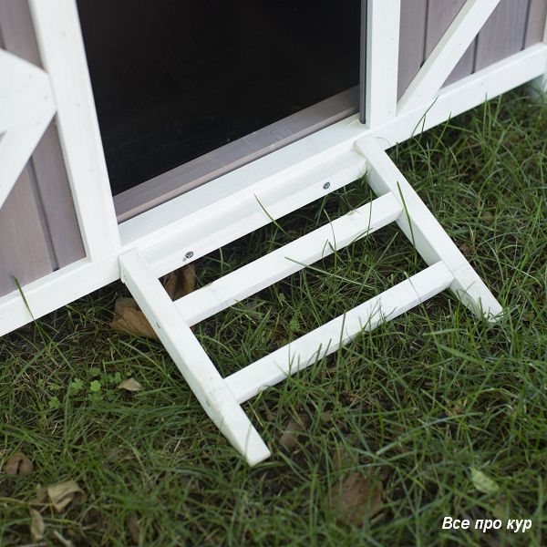 Домик-курятник на 3-5 кур для дачи на лето фото
