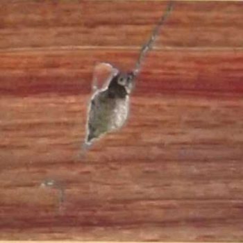 Ремонт линолеума: причины повреждений и как устранить последствия самостоятельно Ремонт линолеума: причины повреждений и как устранить последствия самостоятельно