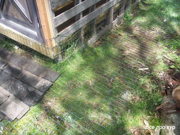 Большой курятник из целых поддонов своими руками Большой курятник из целых поддонов своими руками