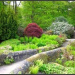 Декоративный огород: делаем красивые грядки — 60 фото Декоративный огород: делаем красивые грядки — 60 фото