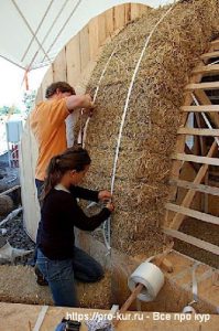 Биономика строительства птичника Биономика строительства птичника