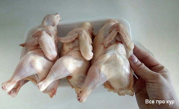 Цыплята корнишоны — что это такое?