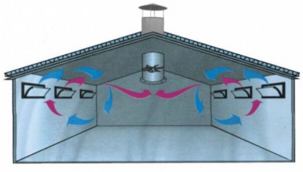 Вентиляция в курятнике – как сделать и зачем она нужна? Вентиляция в курятнике – как сделать и зачем она нужна?