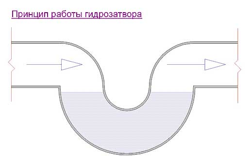Запах канализации в квартире: определение причины и способы устранения Запах канализации в квартире: определение причины и способы устранения