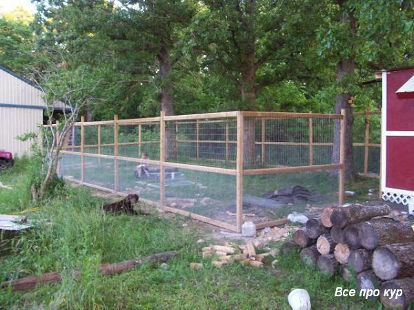 Большой курятник из целых поддонов своими руками Большой курятник из целых поддонов своими руками