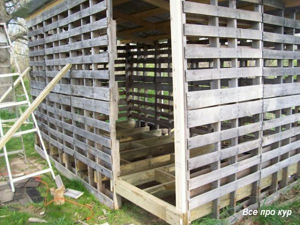 Большой курятник из целых поддонов своими руками Большой курятник из целых поддонов своими руками