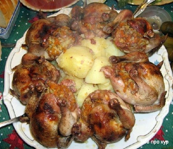 Цыплята корнишоны — что это такое?