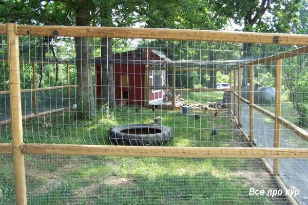Большой курятник из целых поддонов своими руками Большой курятник из целых поддонов своими руками