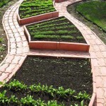 Декоративный огород: делаем красивые грядки — 60 фото Декоративный огород: делаем красивые грядки — 60 фото