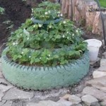 Декоративный огород: делаем красивые грядки — 60 фото Декоративный огород: делаем красивые грядки — 60 фото