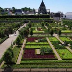 Декоративный огород: делаем красивые грядки — 60 фото Декоративный огород: делаем красивые грядки — 60 фото