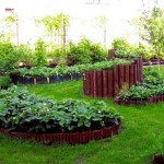 Декоративный огород: делаем красивые грядки — 60 фото Декоративный огород: делаем красивые грядки — 60 фото