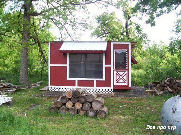Большой курятник из целых поддонов своими руками Большой курятник из целых поддонов своими руками