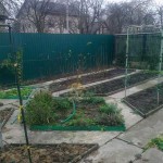 Декоративный огород: делаем красивые грядки — 60 фото Декоративный огород: делаем красивые грядки — 60 фото