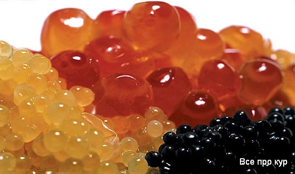 Яйца, которые стоит попробовать