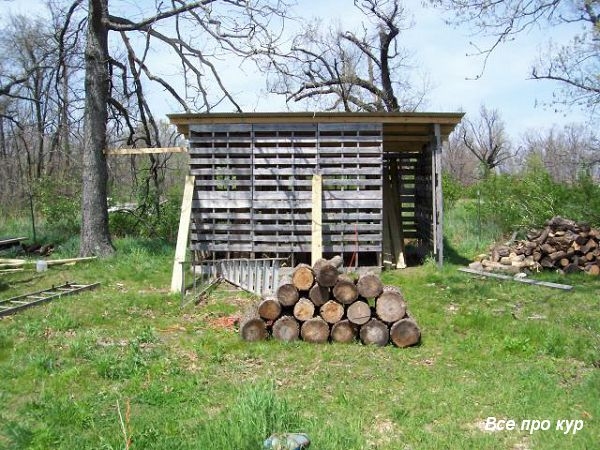 Большой курятник из целых поддонов своими руками Большой курятник из целых поддонов своими руками