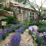 Декоративный огород: делаем красивые грядки — 60 фото Декоративный огород: делаем красивые грядки — 60 фото