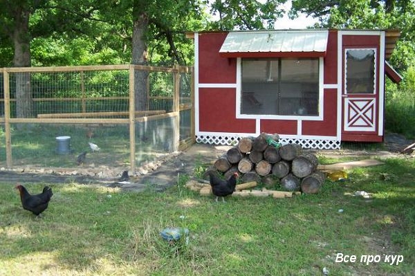 Большой курятник из целых поддонов своими руками Большой курятник из целых поддонов своими руками