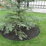 Садовая бордюрная лента для грядок, газонов, клумб Садовая бордюрная лента для грядок, газонов, клумб