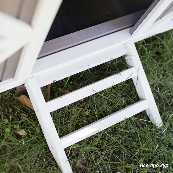 Домик-курятник на 3-5 кур для дачи на лето фото