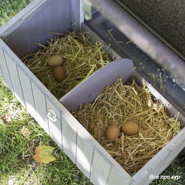 Домик-курятник на 3-5 кур для дачи на лето фото