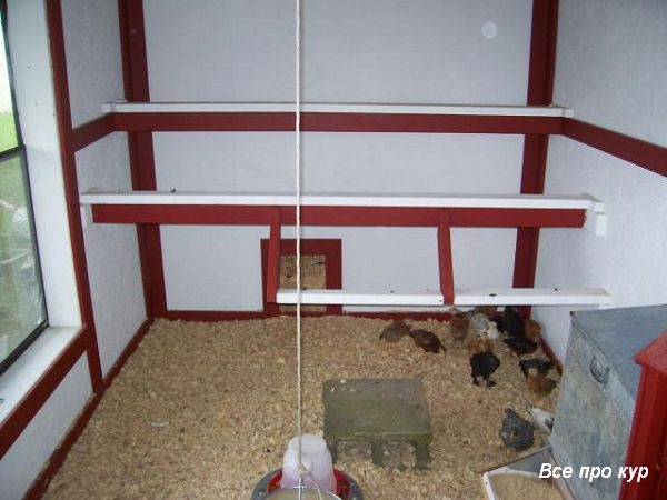 Большой курятник из целых поддонов своими руками Большой курятник из целых поддонов своими руками