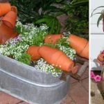 Садовые и дачные поделки: новинки (75 фото) Садовые и дачные поделки: новинки (75 фото)