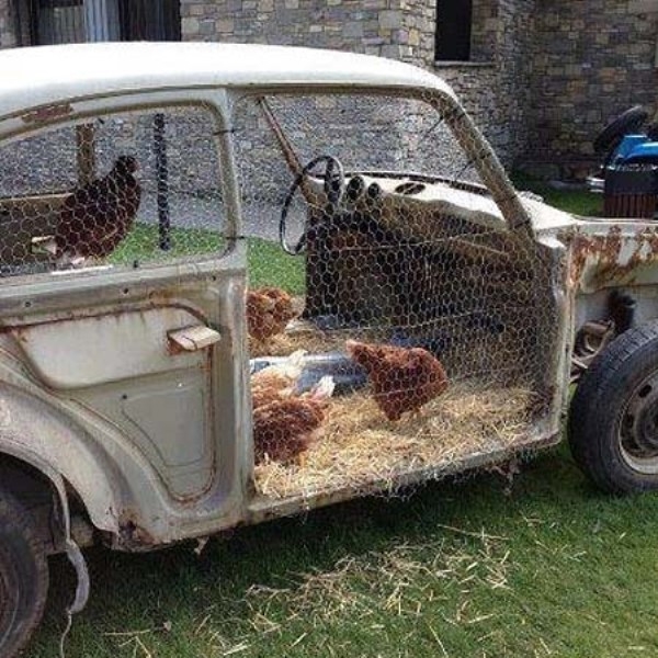 Оригинальный домик для курочек