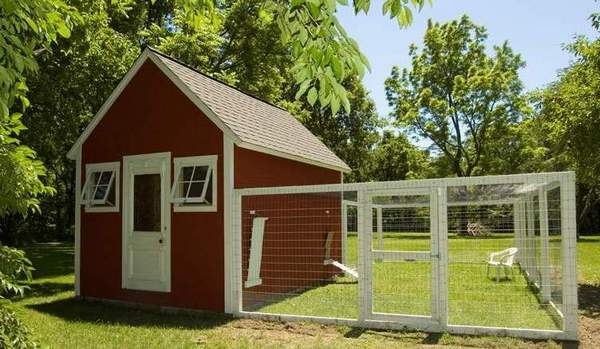 Строим курятник для 50 или 200 голов Строим курятник для 50 или 200 голов