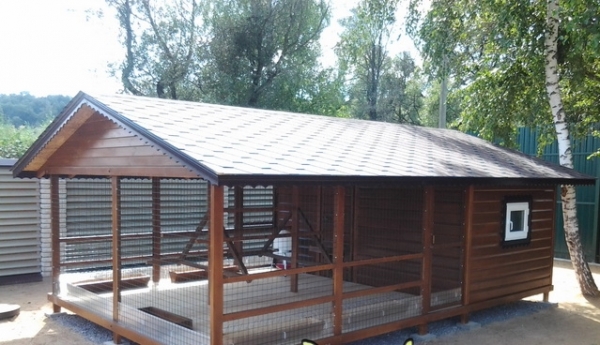 Чем примечательны куриные домики от Семена Додонова? Чем примечательны куриные домики от Семена Додонова?