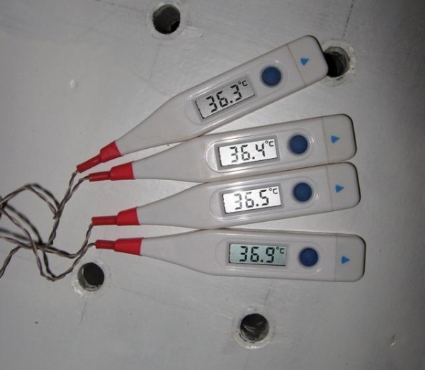 Выбираем градусник в инкубатор