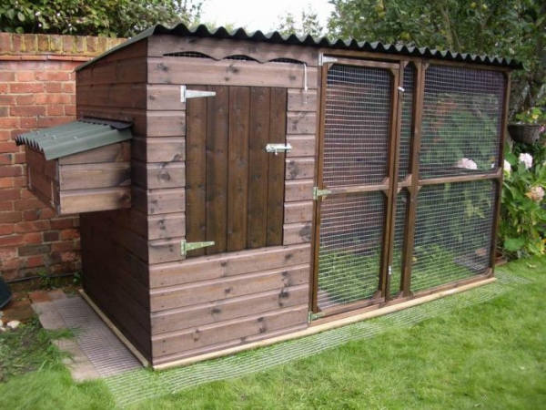 Как построить курятник для 20 курочек