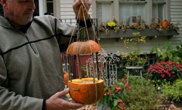 Порадуем курочек оригинальной кормушкой Порадуем курочек оригинальной кормушкой