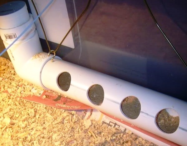 Мастерим кормушку бройлерным цыплятам