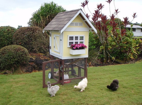 Оригинальный домик для курочек