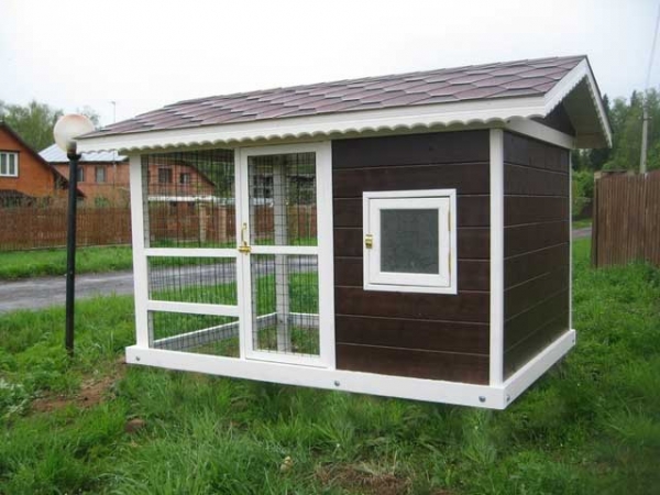 Как построить курятник для 20 курочек