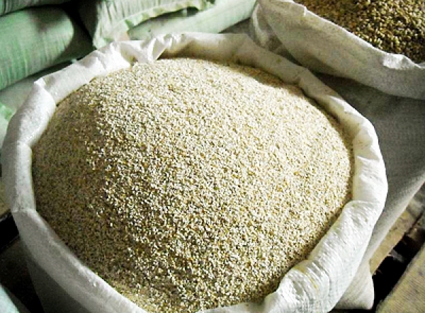 Зачем несушкам добавка Рябушка?