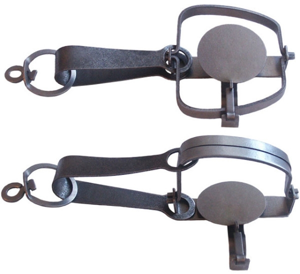 Вредные грызуны в курятнике — боремся с ними правильно!