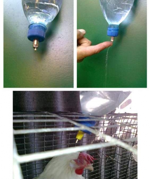 Мастерим ниппельную поилку курочкам Мастерим ниппельную поилку курочкам