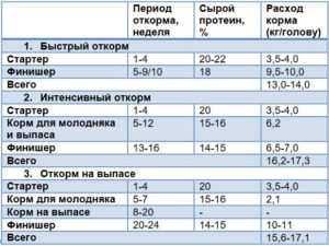 Пурина – комбикорм с идеальным сбалансированным составом