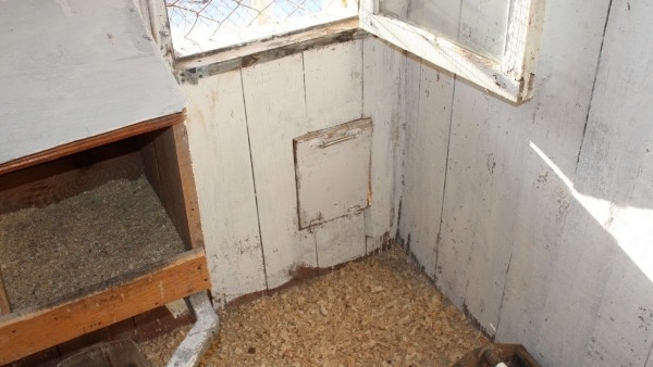 Как сделать курятник комфортным? Как сделать курятник комфортным?