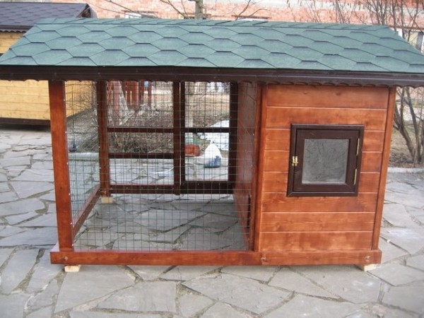 Строительство и обустройство курятника для несушек