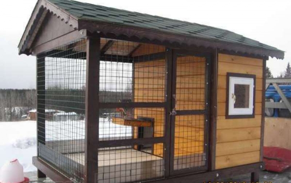 Чем примечательны куриные домики от Семена Додонова? Чем примечательны куриные домики от Семена Додонова?