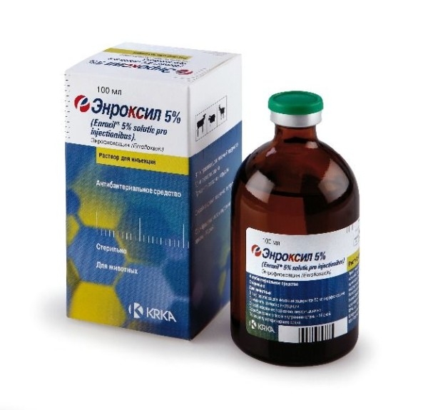 Все об антибиотиках для бройлеров