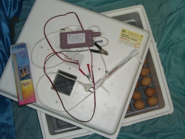 Все об инкубаторах Идеальная наседка