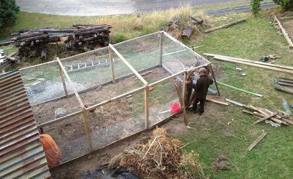 Как смастерить загон для курочек?